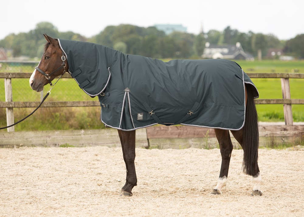 Harry's Horse Outdoorrug with neck Thor 200