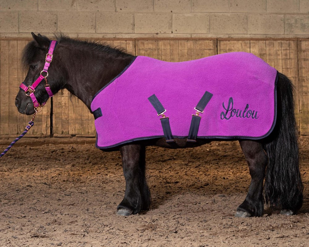 Harry's Horse FW25 Fleece Rug LouLou Quinn