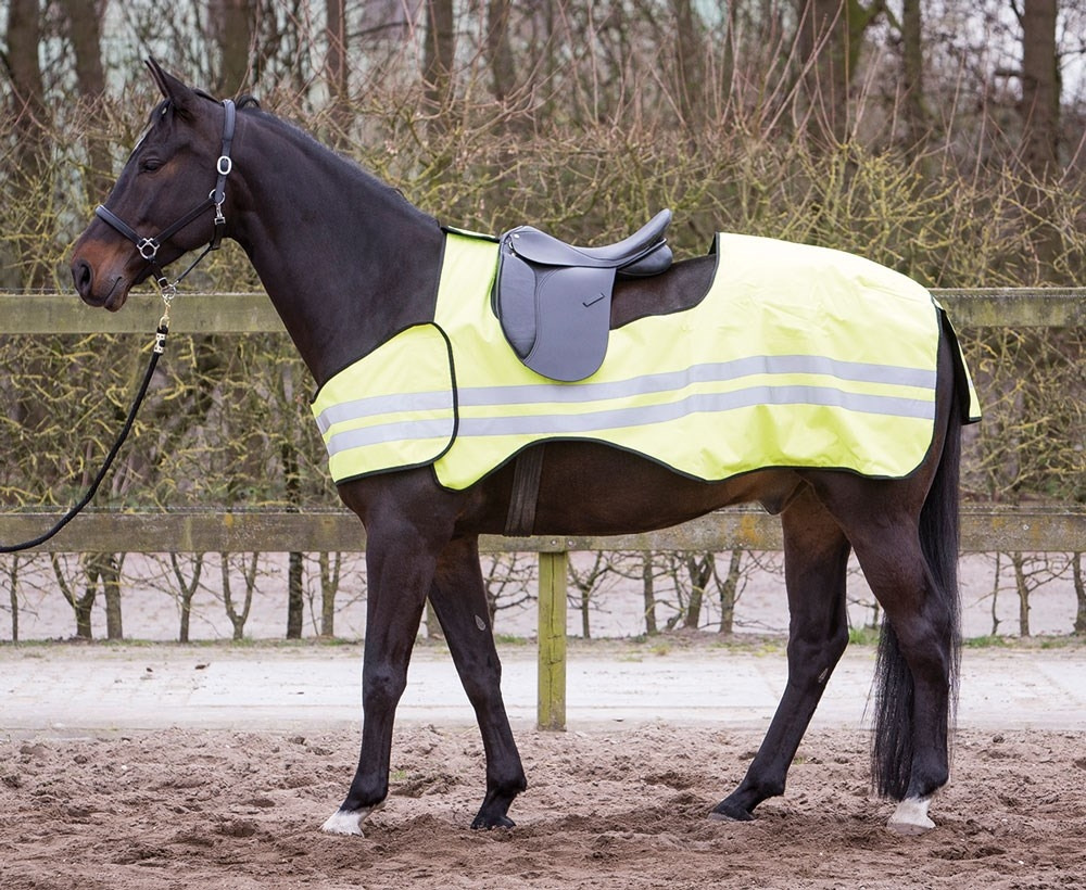 Harry's Horse Reflective Exercise Sheet
