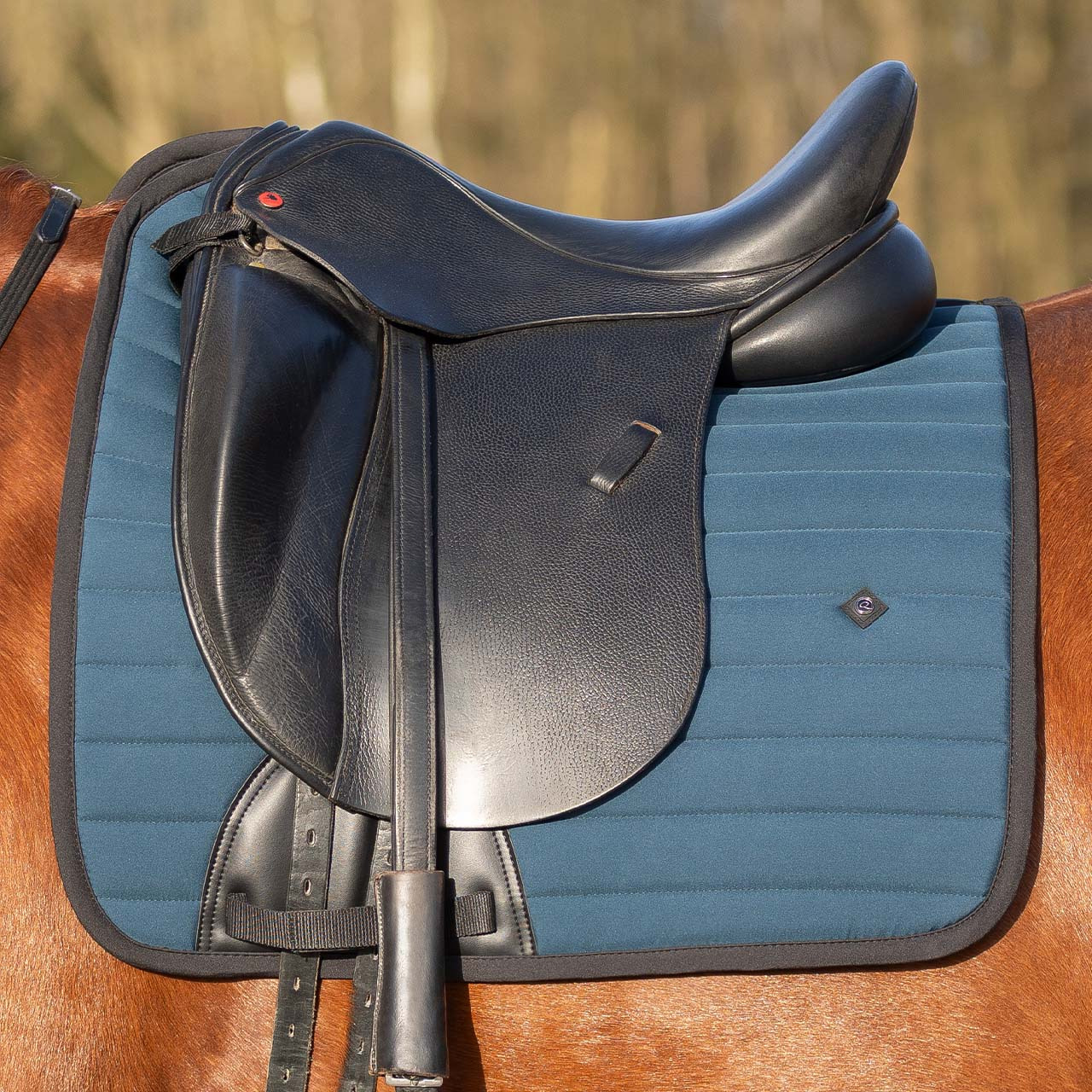 QHP Saddle Pad Salerno