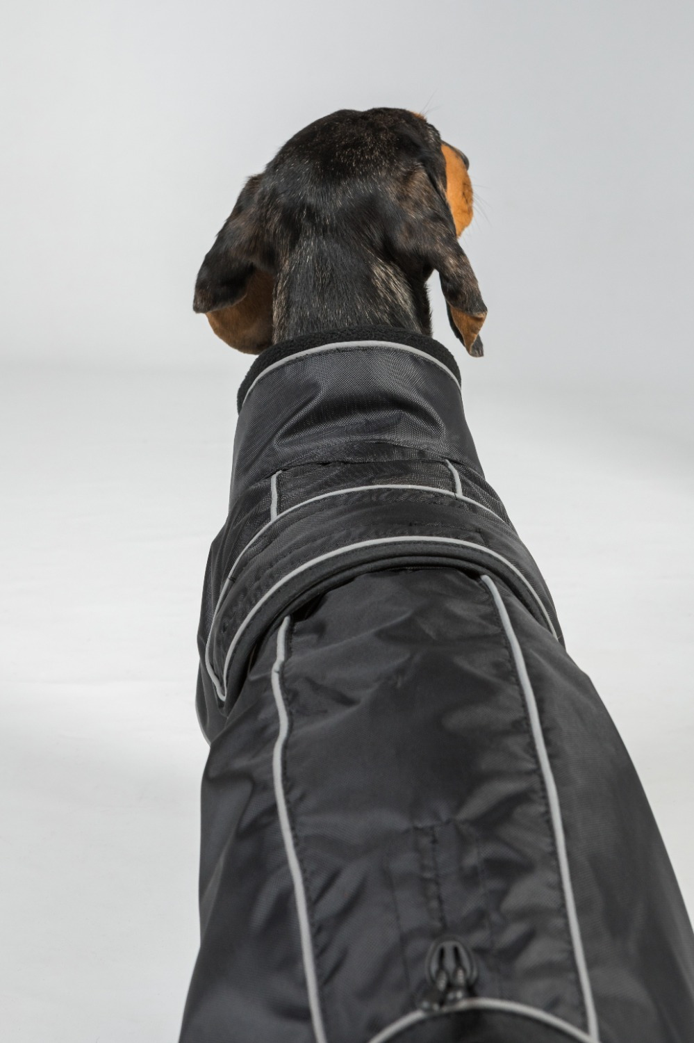 Back on Track Hundemantel Buddy 2.0 Thermal