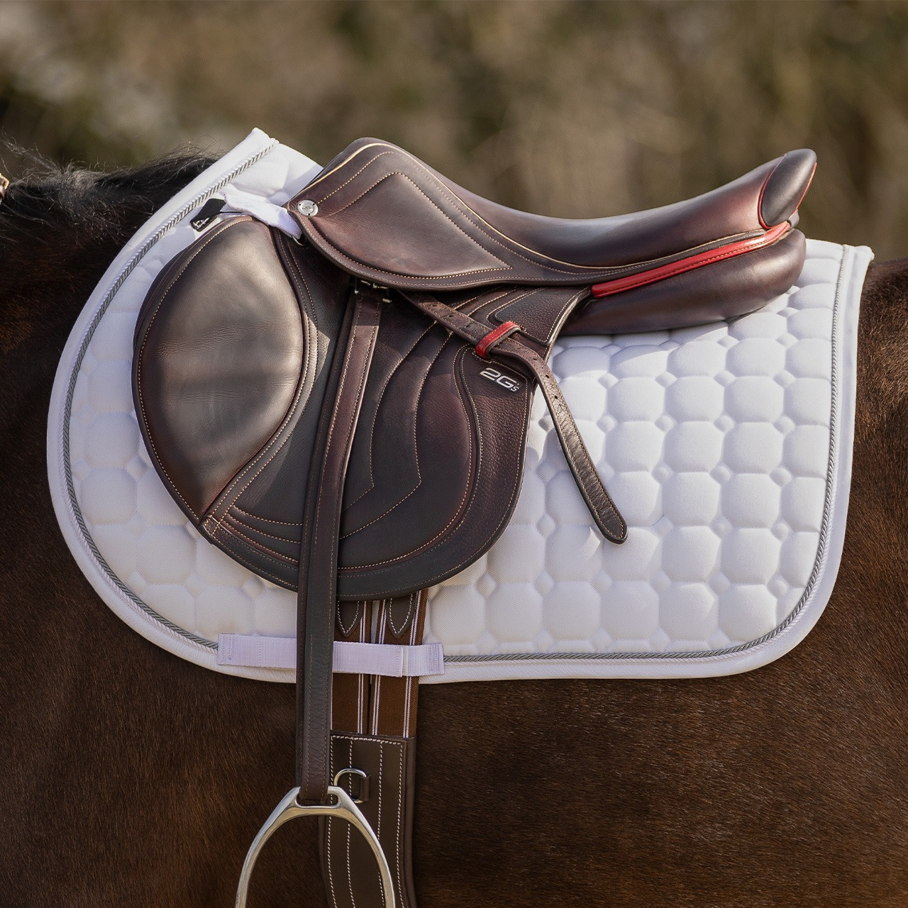 QHP Saddle Pad Firenze 