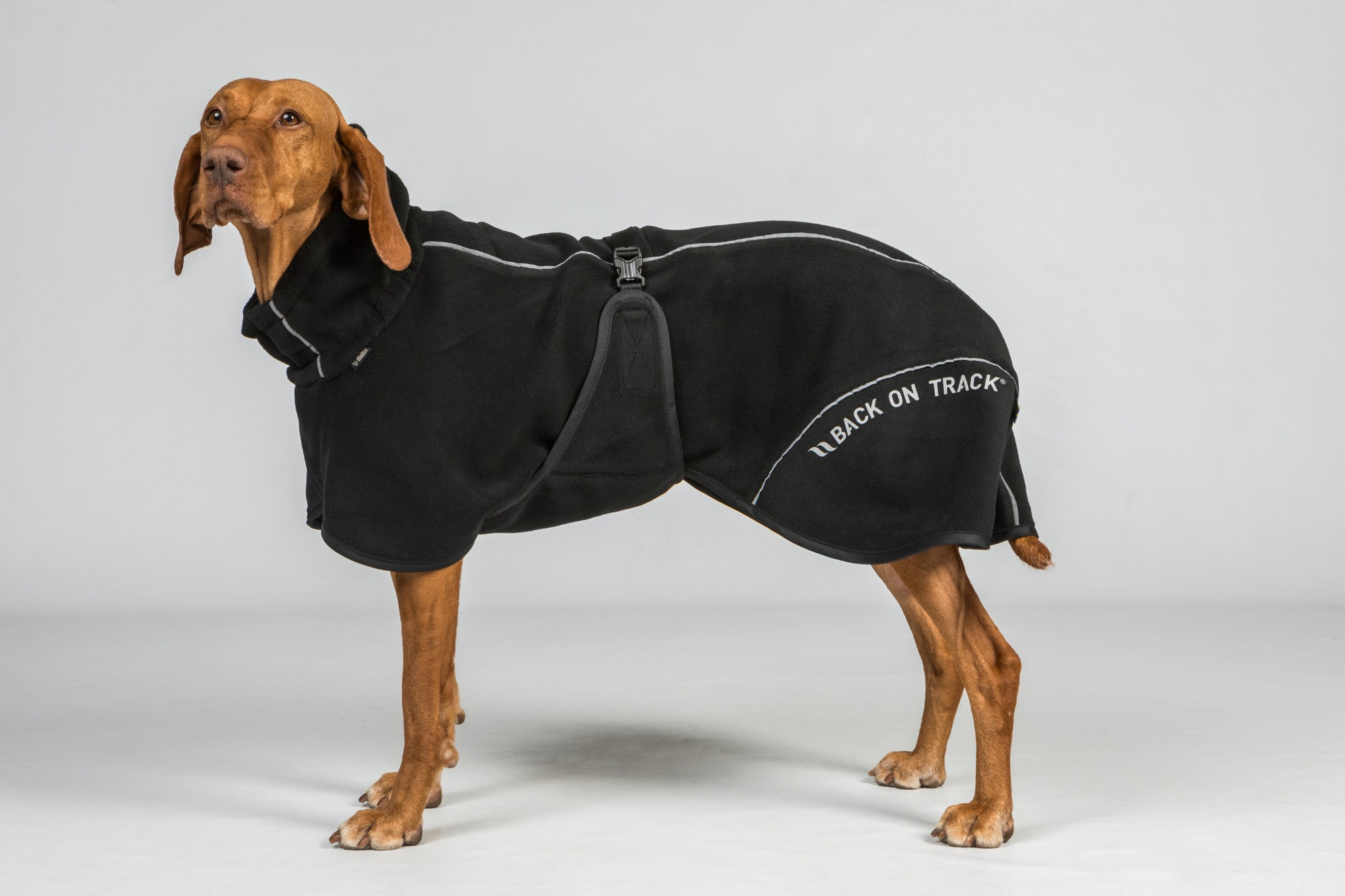 Back on Track Hundedecke Fleece Bay lang