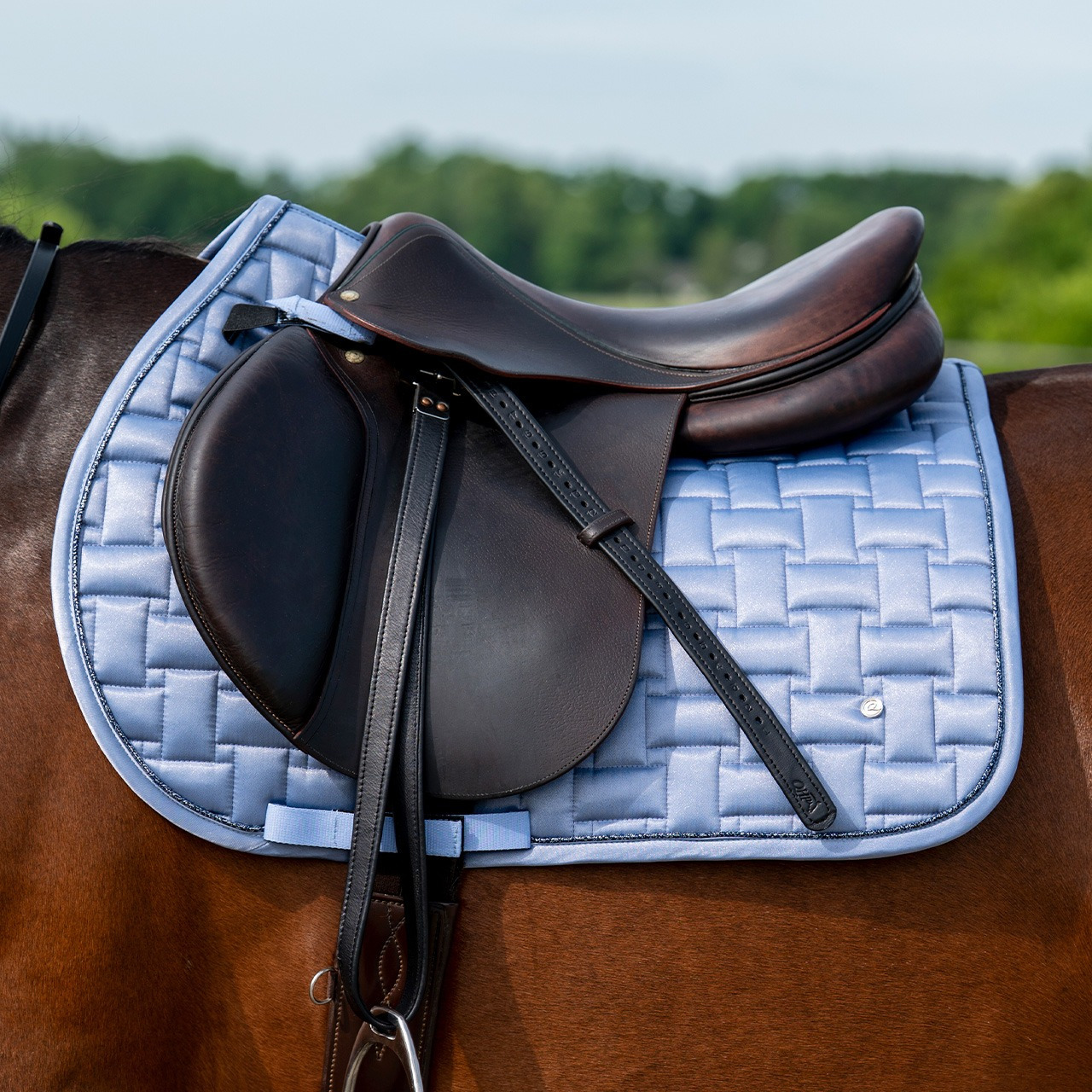QHP SS26 Aubree Saddle Pad