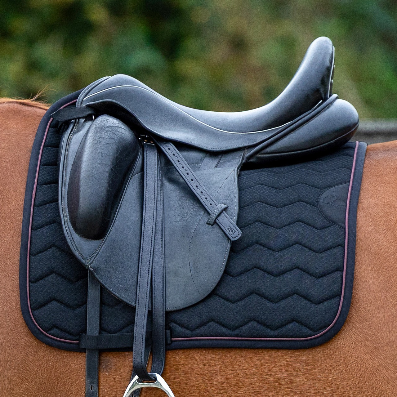 QHP FW26 Saddle Pad Avenna