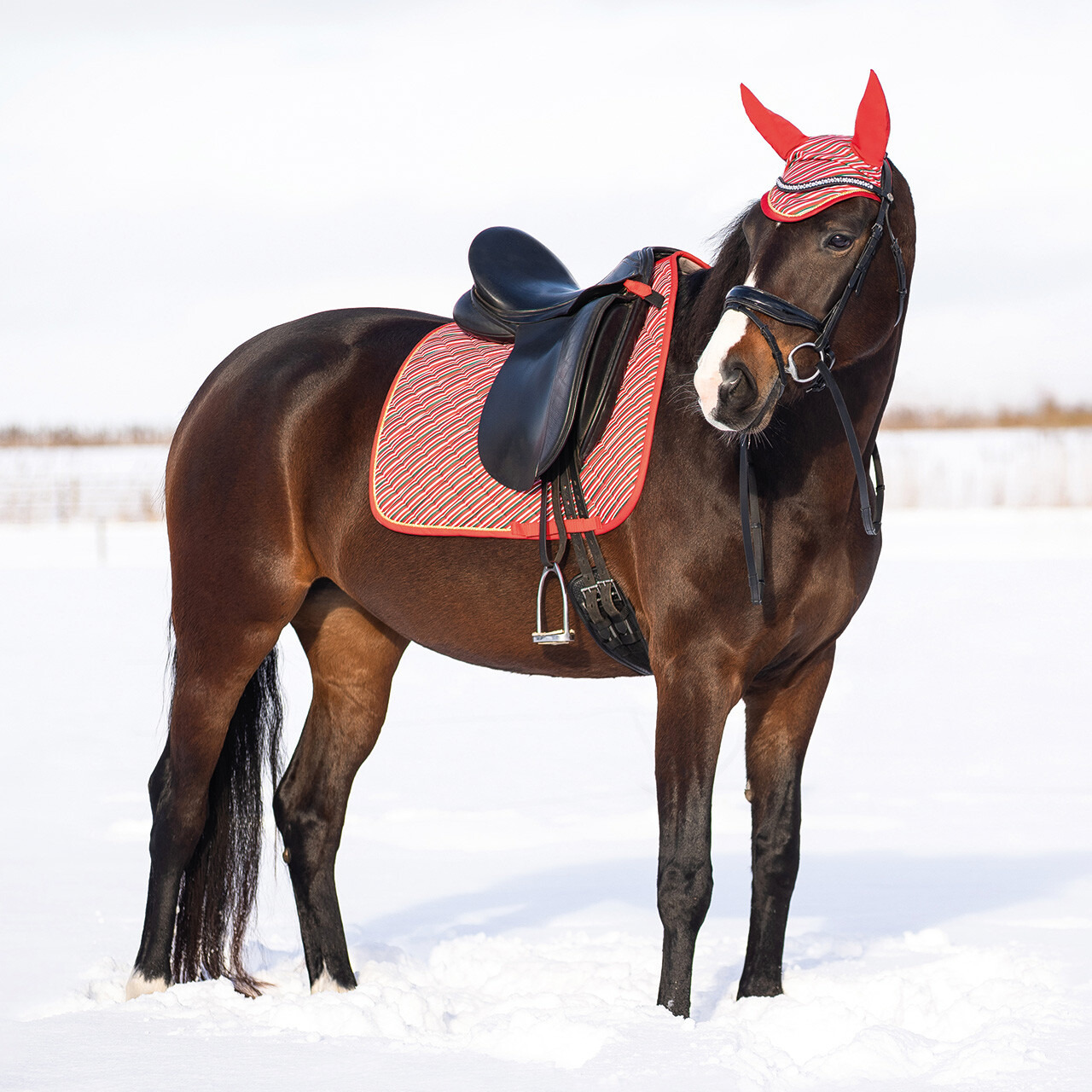 QHP Christmas Saddle Pad