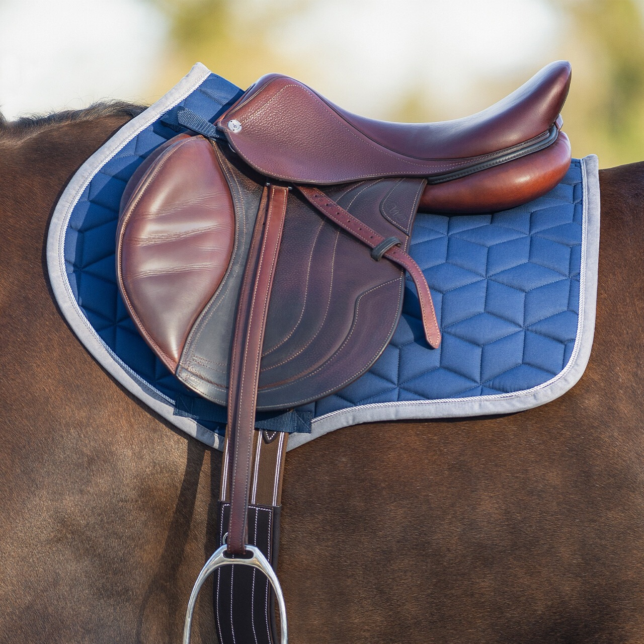 QHP Avyra Saddle Pad