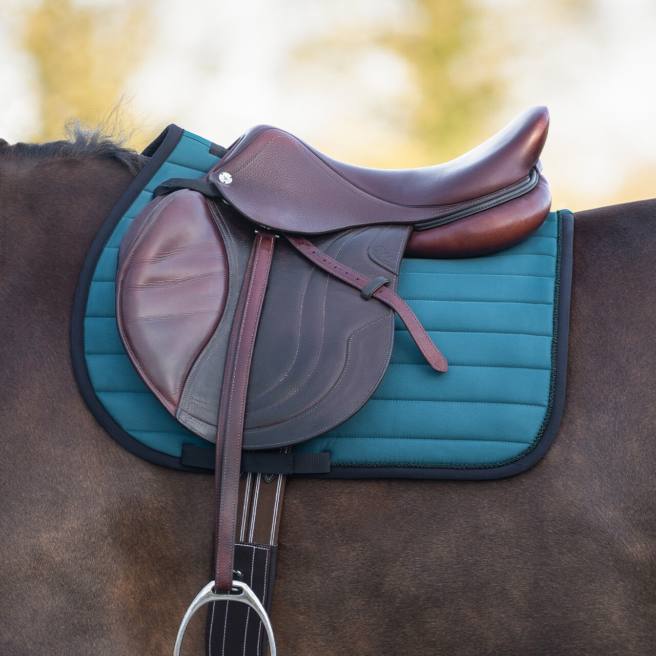 QHP Victorio Saddle Pad