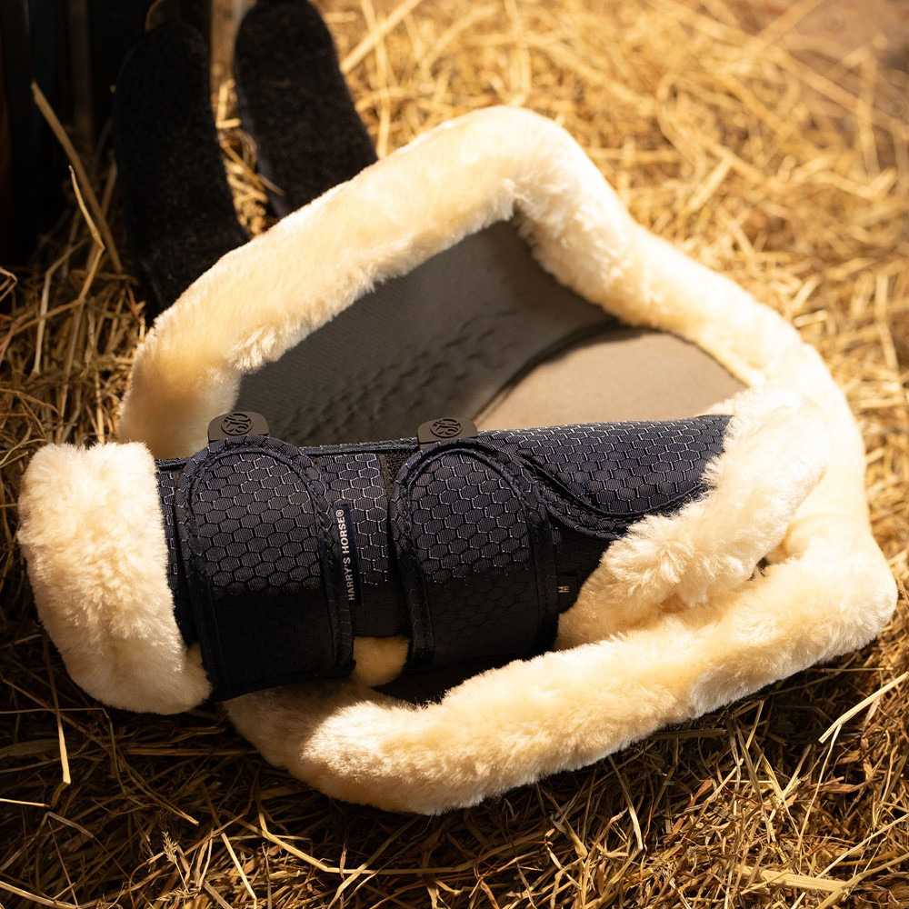 Harry's Horse SS25 Beinschutz Flex Trainer Carbon