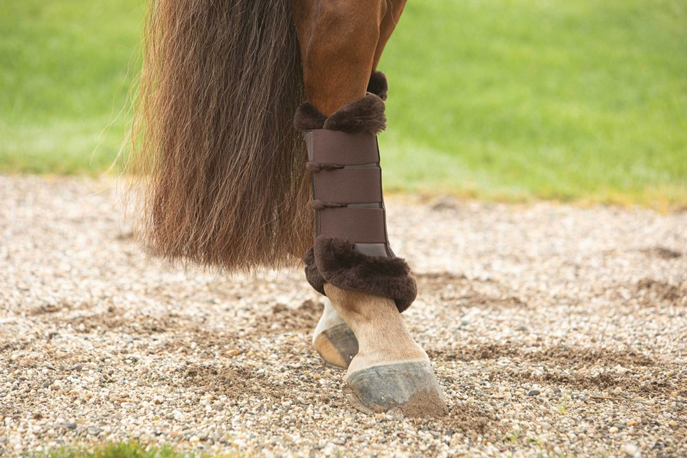 Harry's Horse FW25 Gamaschen Anne
