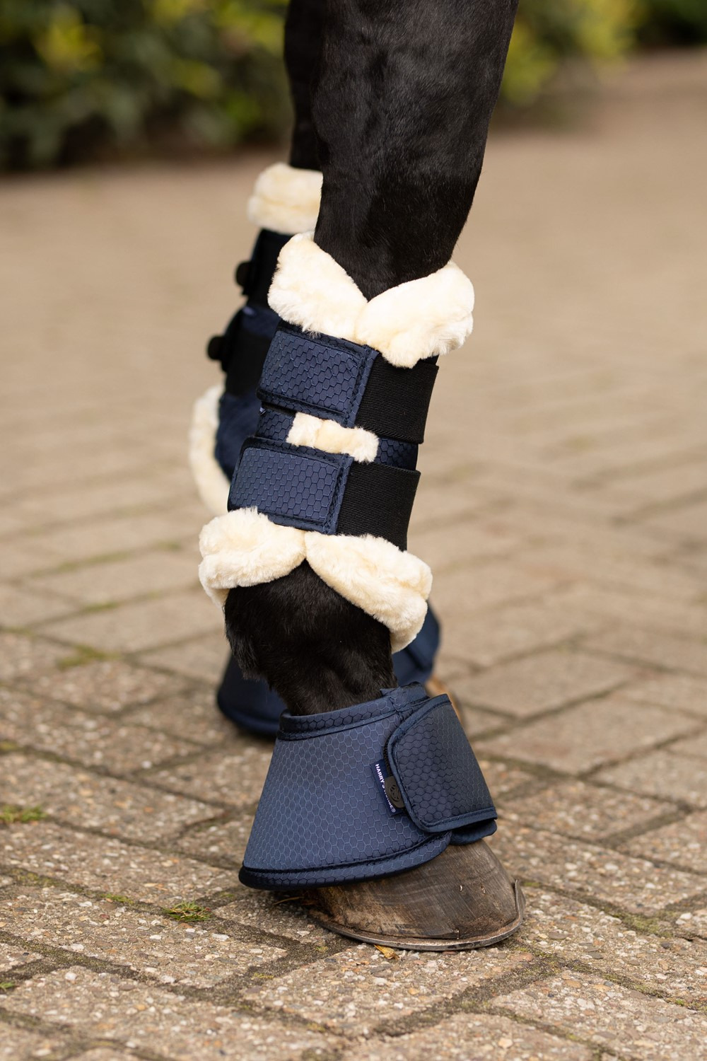 Harry's Horse SS25 Springschuhe Carbon