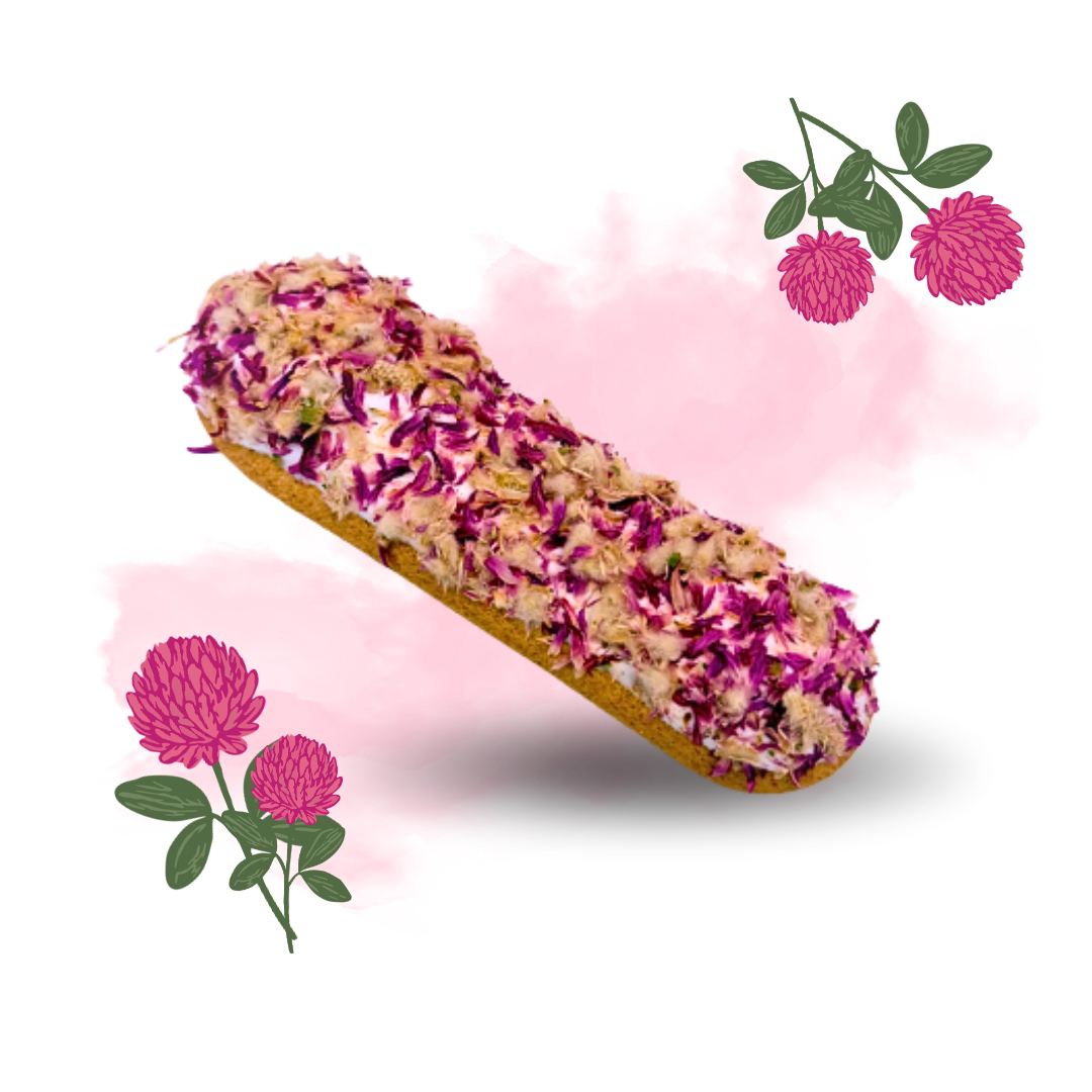 Candy Horse Rainbow World 2026 Eclair Clover