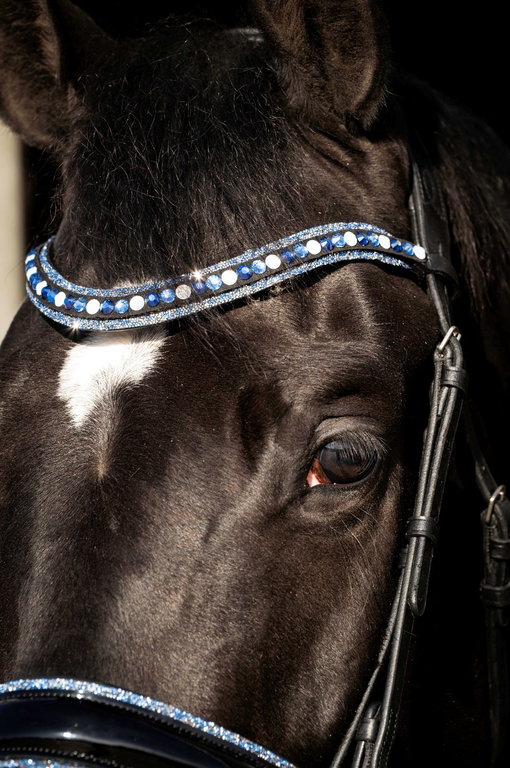 HB Showtime Bridle Blue Ocean