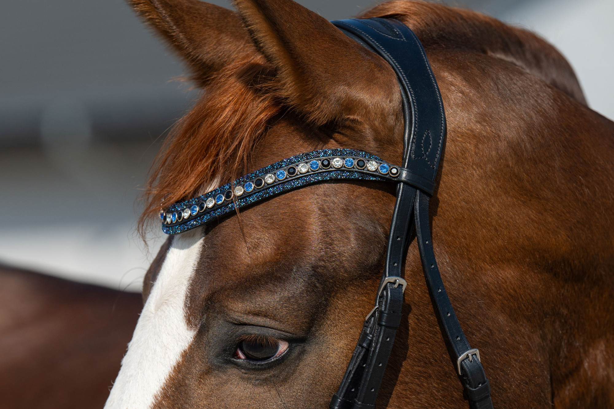 HB Showtime Browband Rocky Glitter