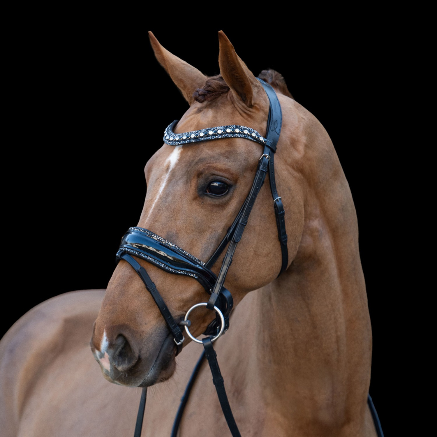 HB Showtime Bridle It Is So Special