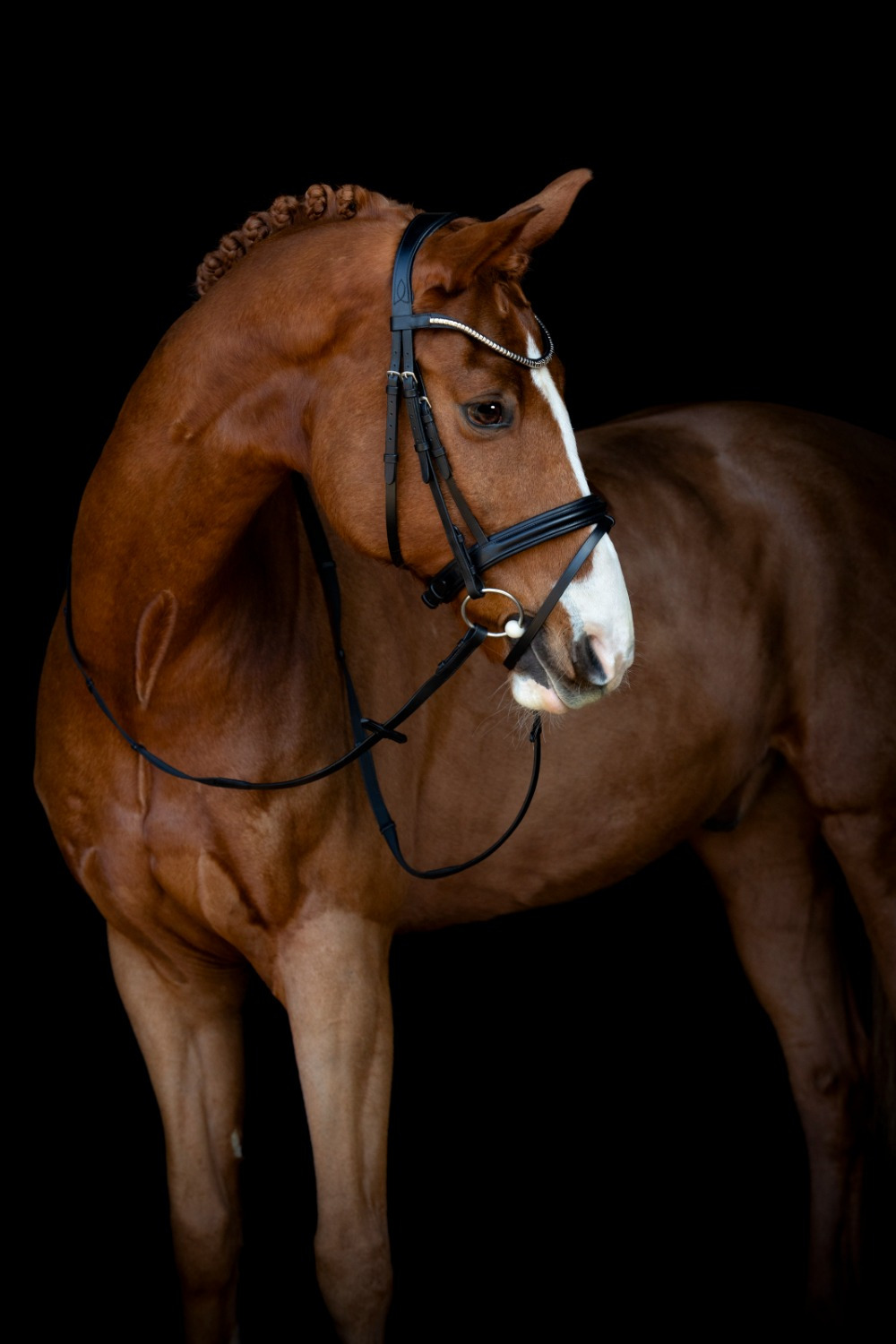 Happy Mouth Single-Jointed Loose Ring Snaffle Bit