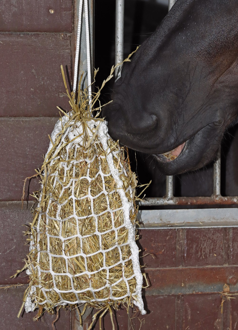 Harry's Horse Hay Net Slow Feeder Mini 33x24 cm