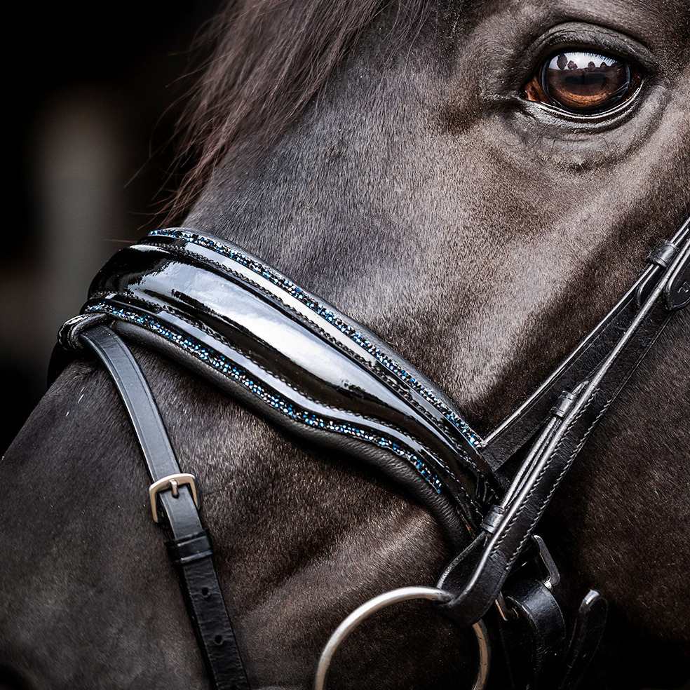 HB Showtime Bridle Evalira