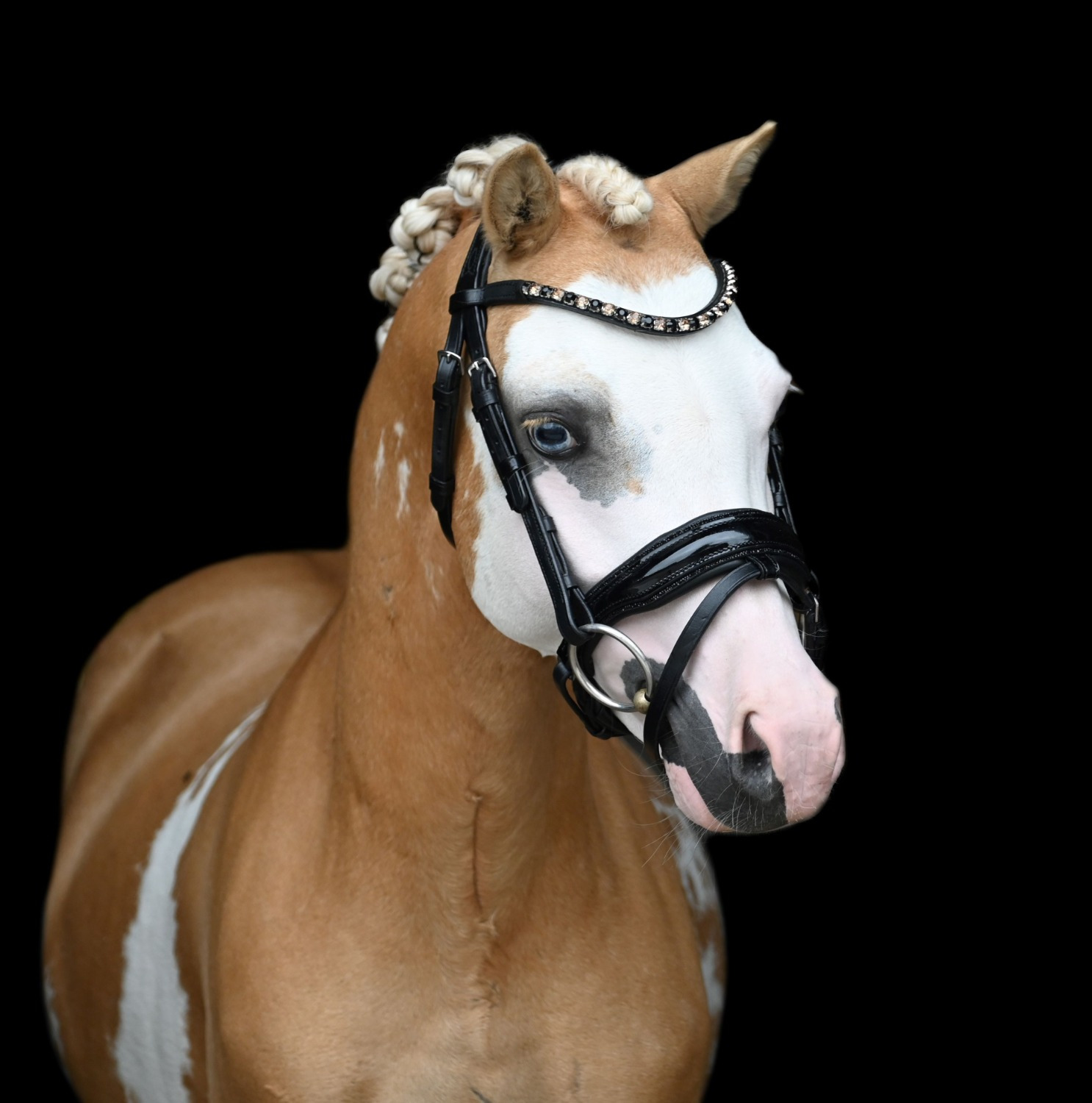 HB Showtime Hoofdstel Special A-pony