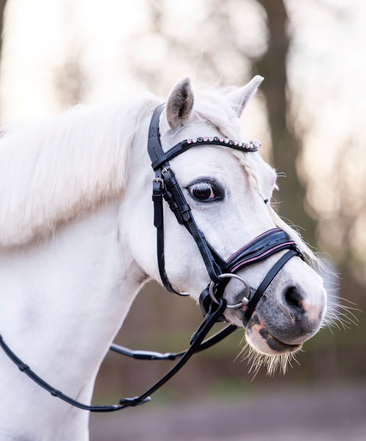 HB Showtime Bridle Special A-pony