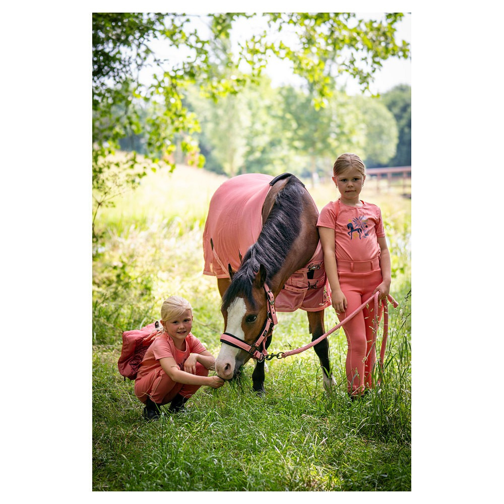 BR Mini Horse fly rug
