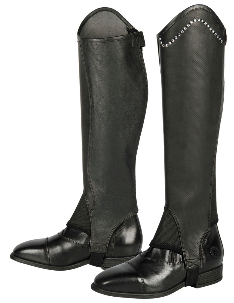 Harry's Horse Half Chaps Asteroid