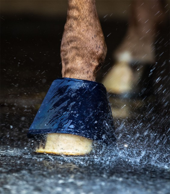 Waldhausen Waterproof Boots