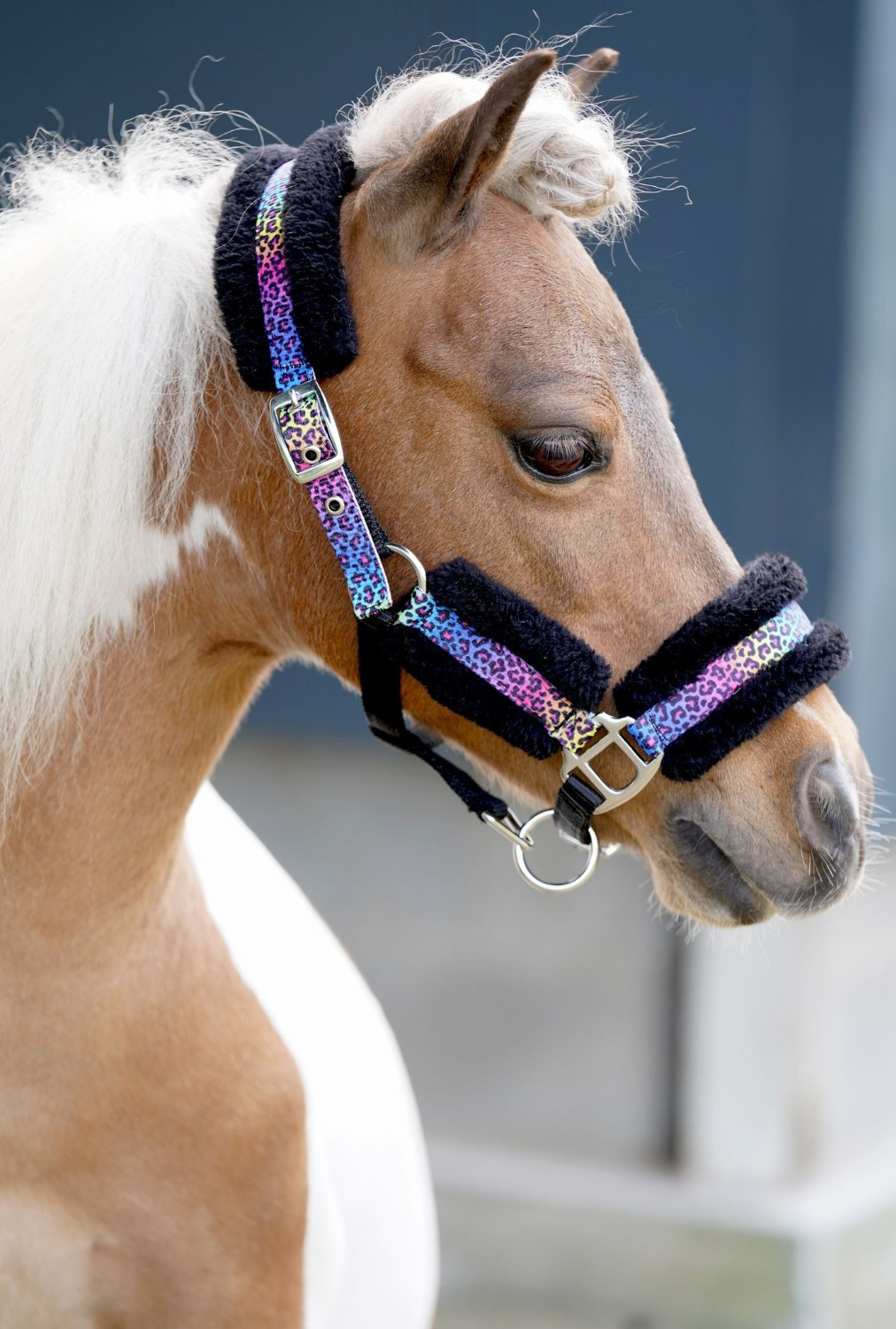 HB Little Sizes Funny Halter