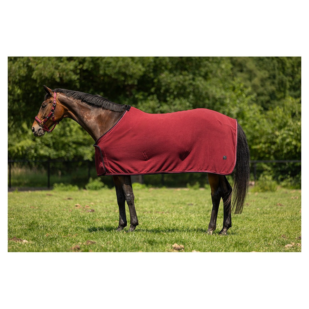 BR CLX fleece blanket 240 gr