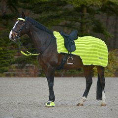Waldhausen Reflex couvre-reins