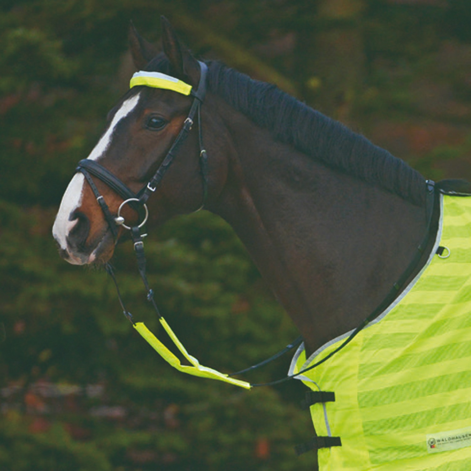 Waldhausen Reflective Parts for Bridle