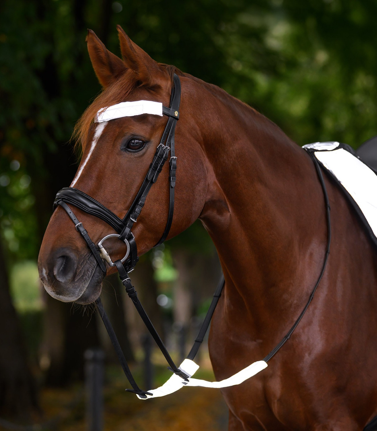Waldhausen Reflective Parts for Bridle