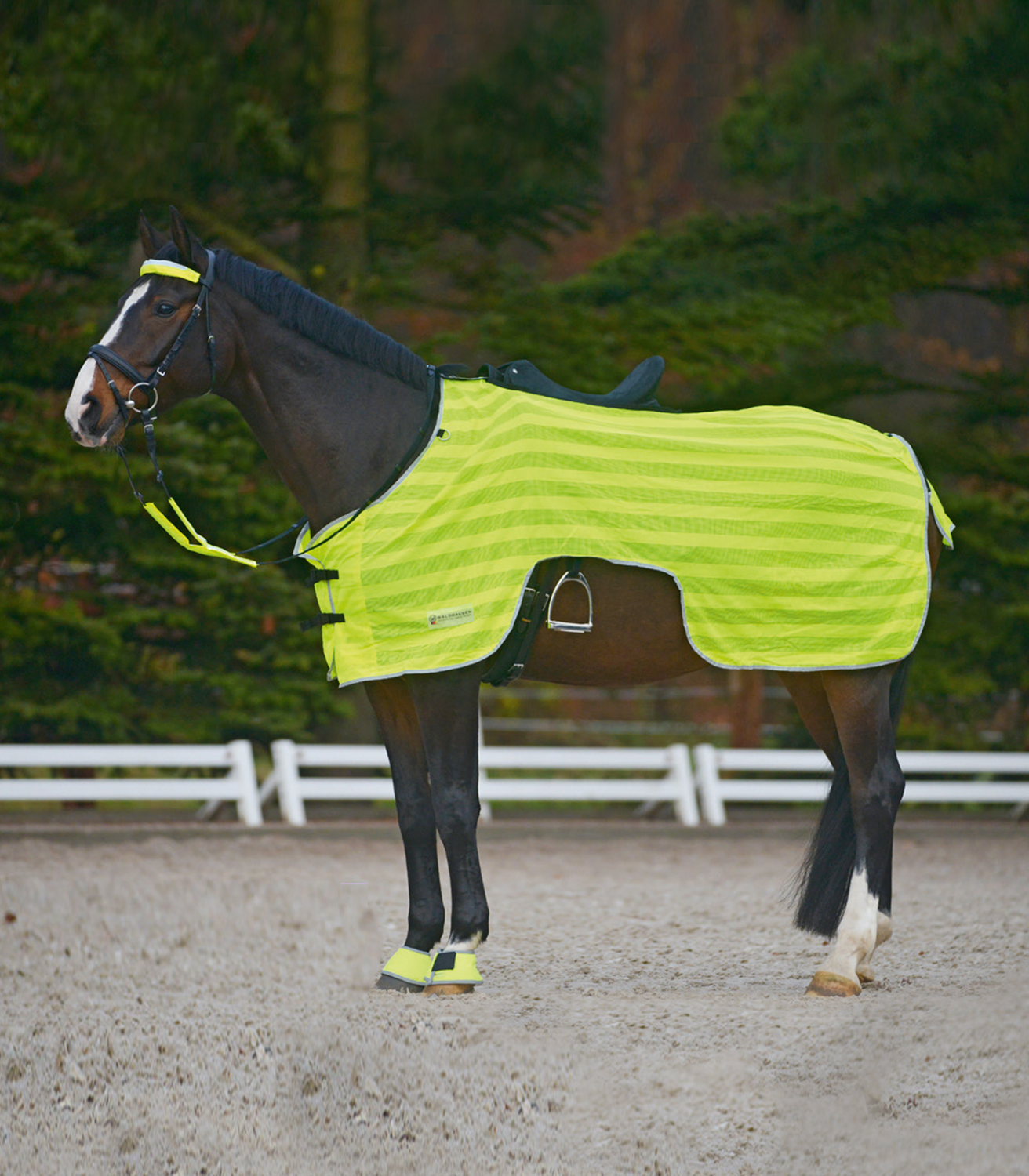 Waldhausen Exercise Rug Reflex 