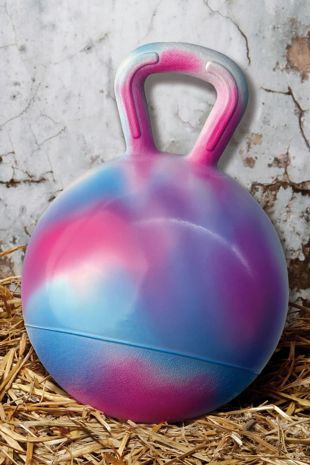 Harry&#39;s Horse Horse Play Ball