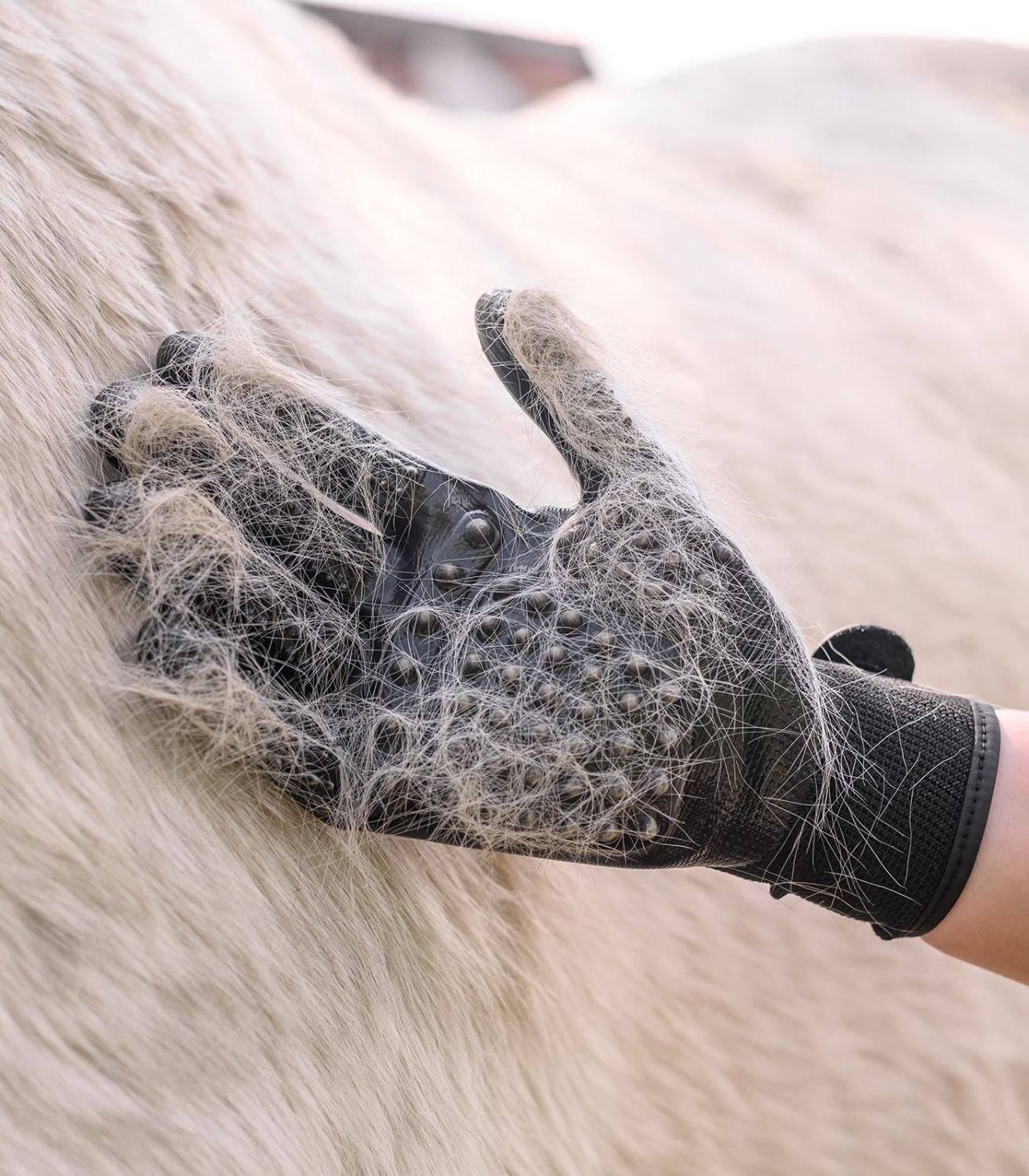 Waldhausen Grooming Gloves