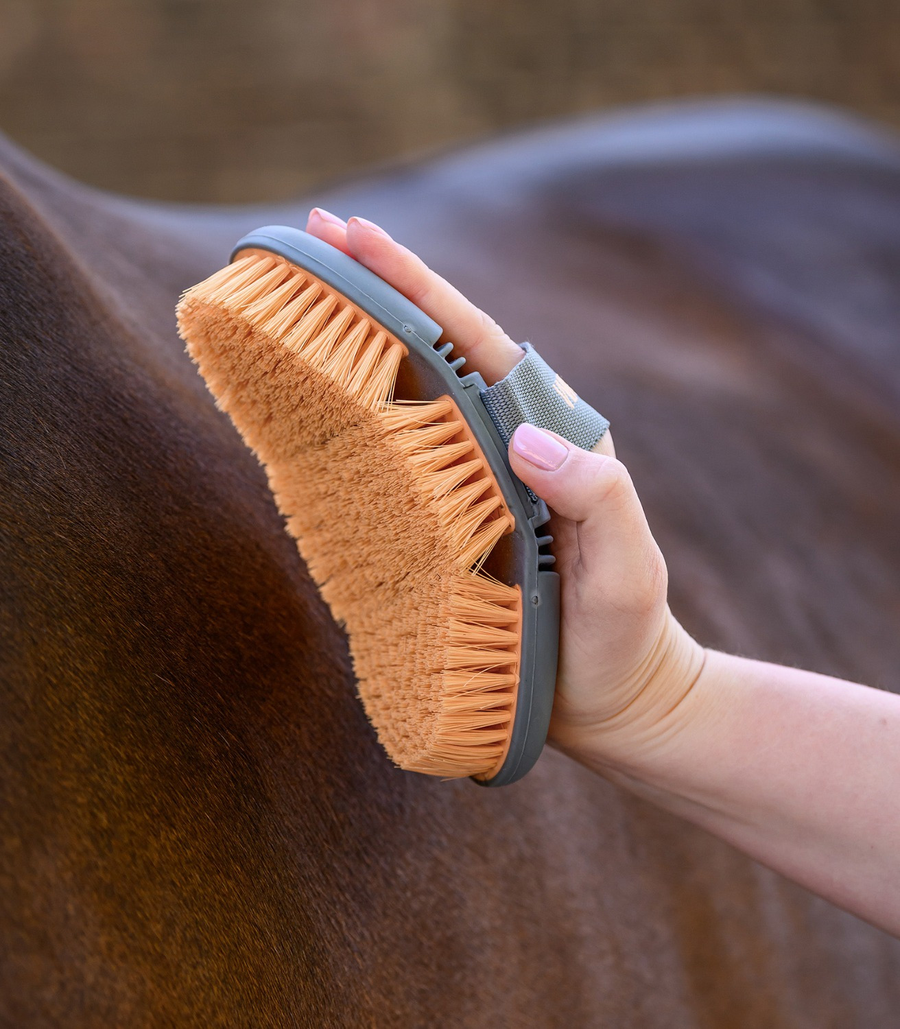 Waldhausen SS26 Flex body brush