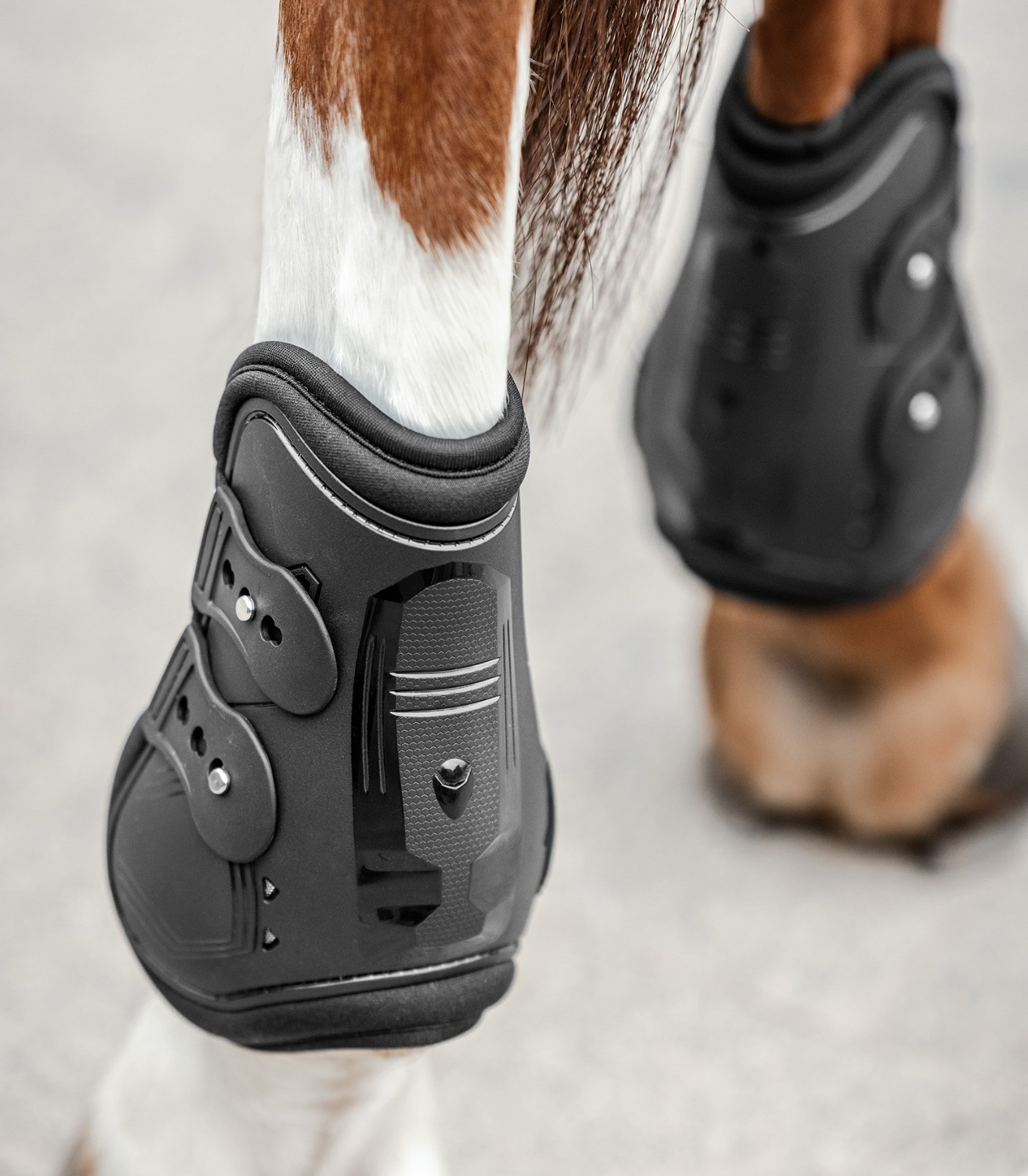 Waldhausen Fetlock Boots Memory Foam Pro