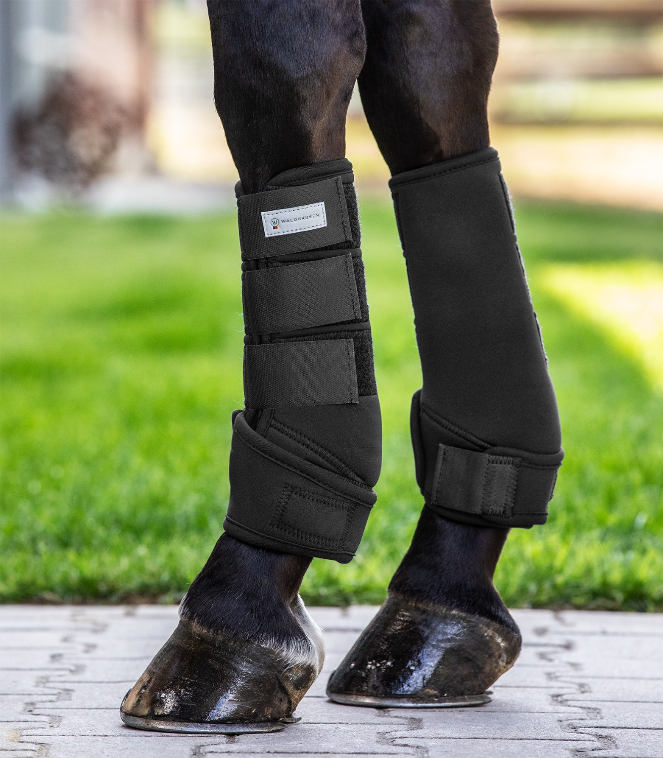 Waldhausen Tendon Boots Protect