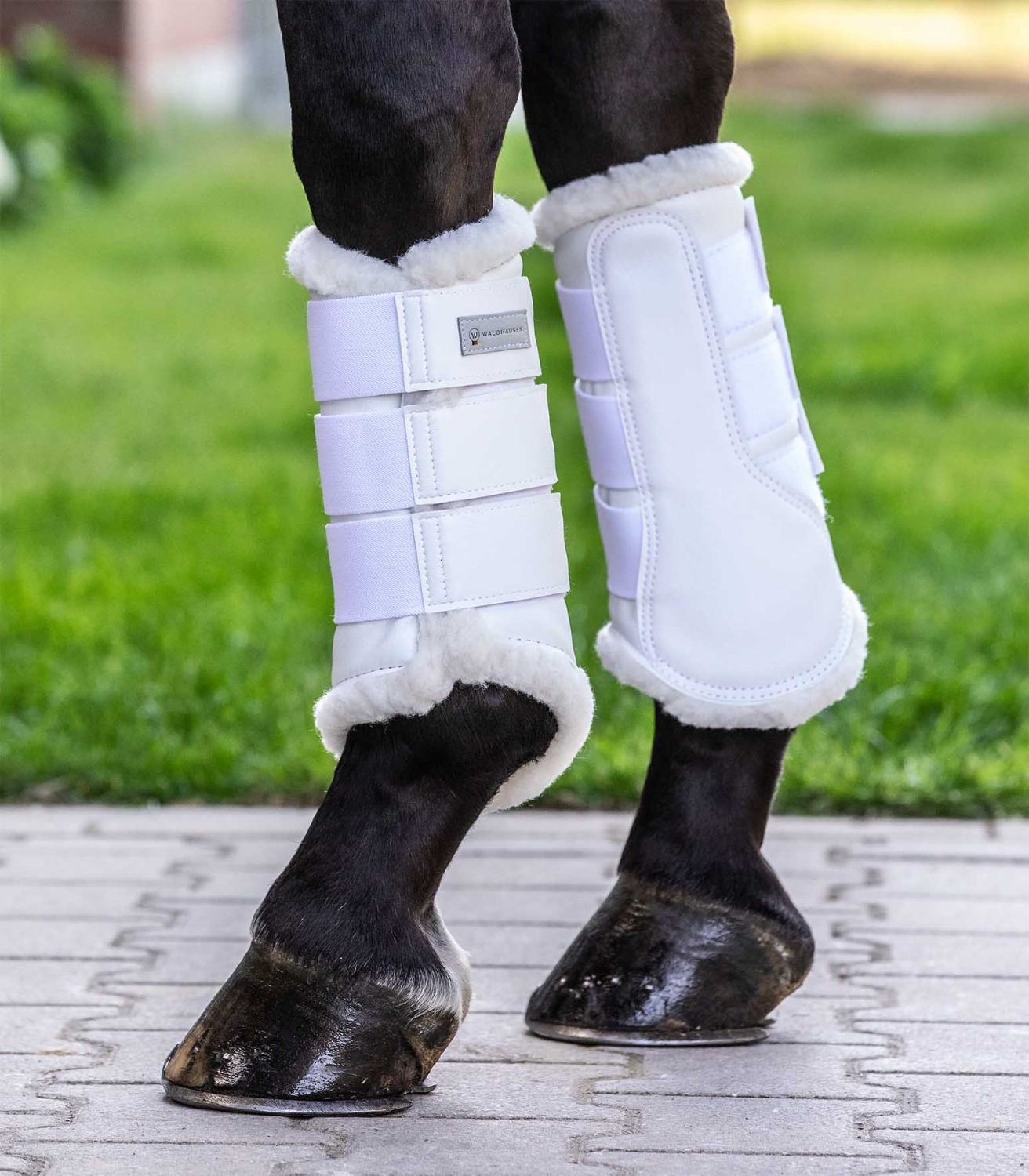 Waldhausen Soft Dressage Boots