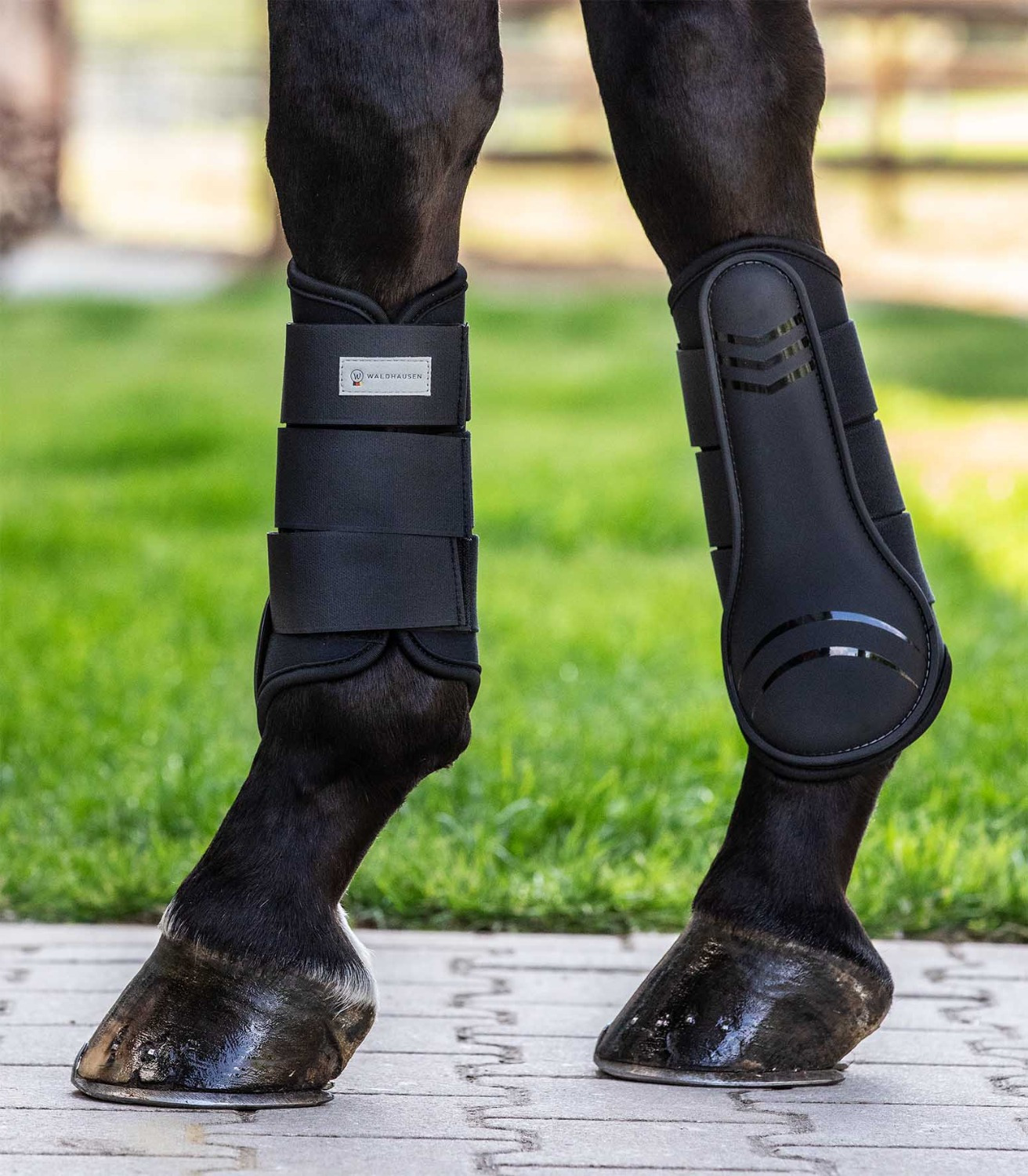 Waldhausen Tendon Boots Basic Plus