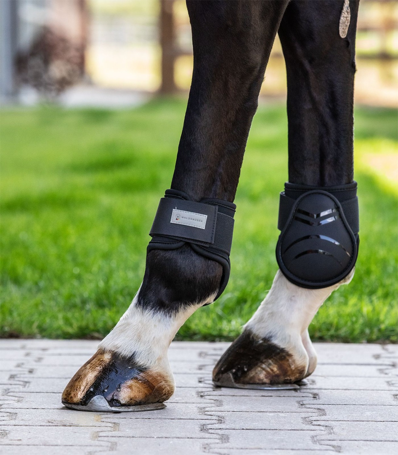 Waldhausen Fetlock Boots Basic Plus