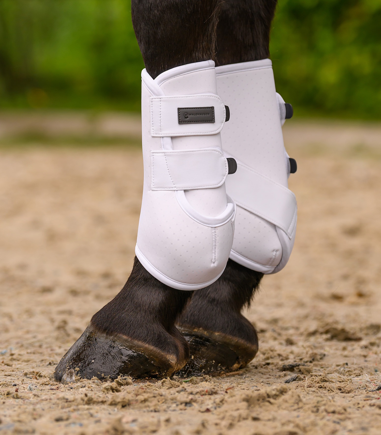 Waldhausen Tendon Boots Air Performance