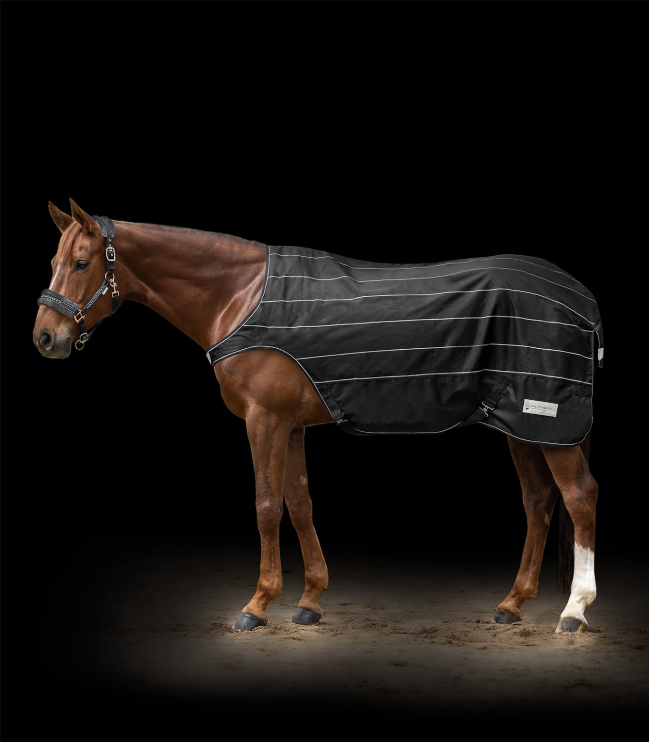 Waldhausen Walker Rug Reflex