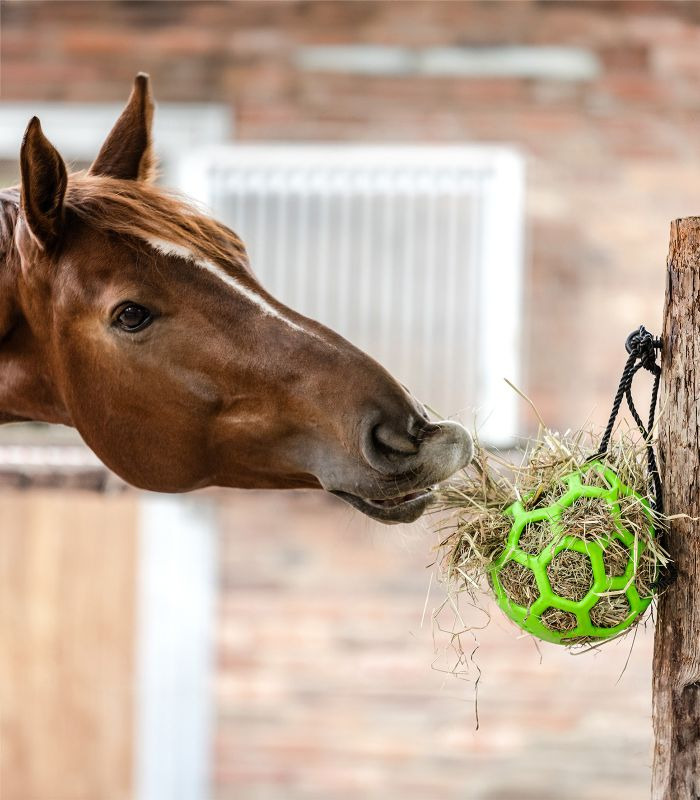 Waldhausen Hay Ball