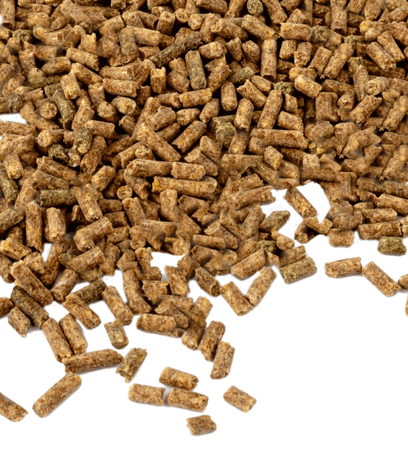 Waldhausen Vitamin E Forte 1 kg