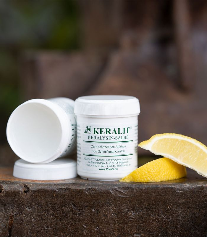Keralit Keralysin Salbe 110g
