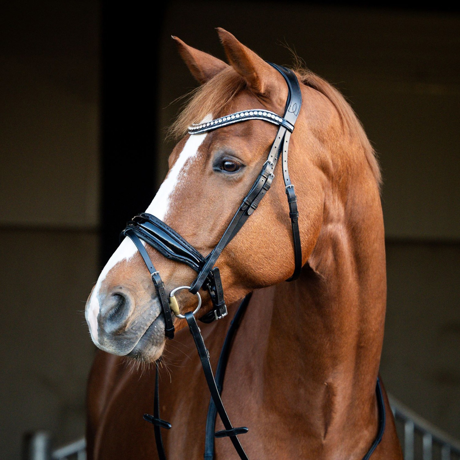 HB Showtime Bridle Snowflake