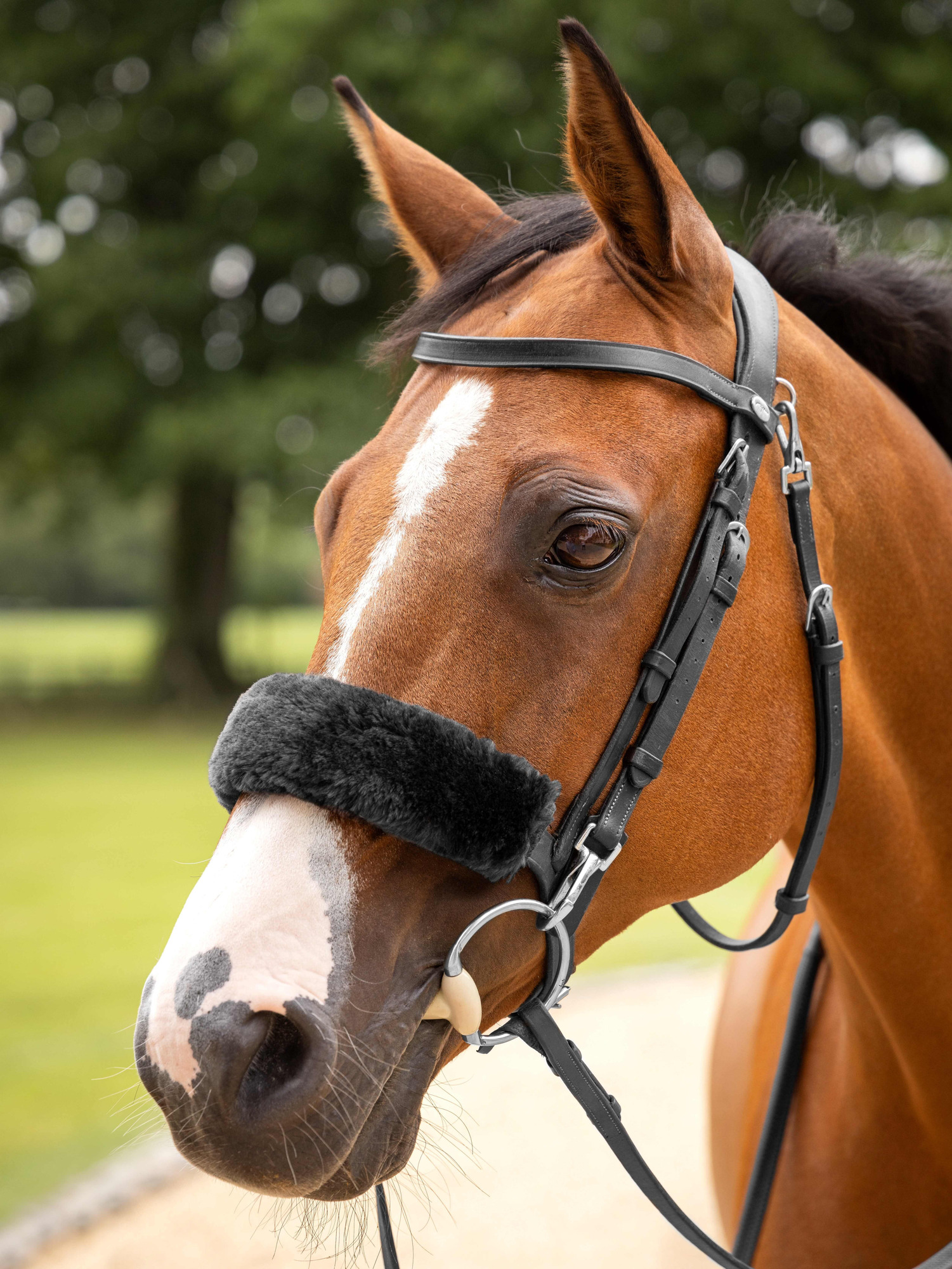LeMieux Noseband/Cheekpiece Cover Simuwol