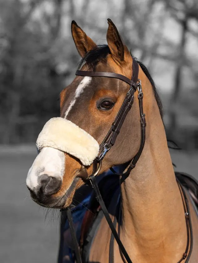 LeMieux Noseband/Cheekpiece Cover Simuwol