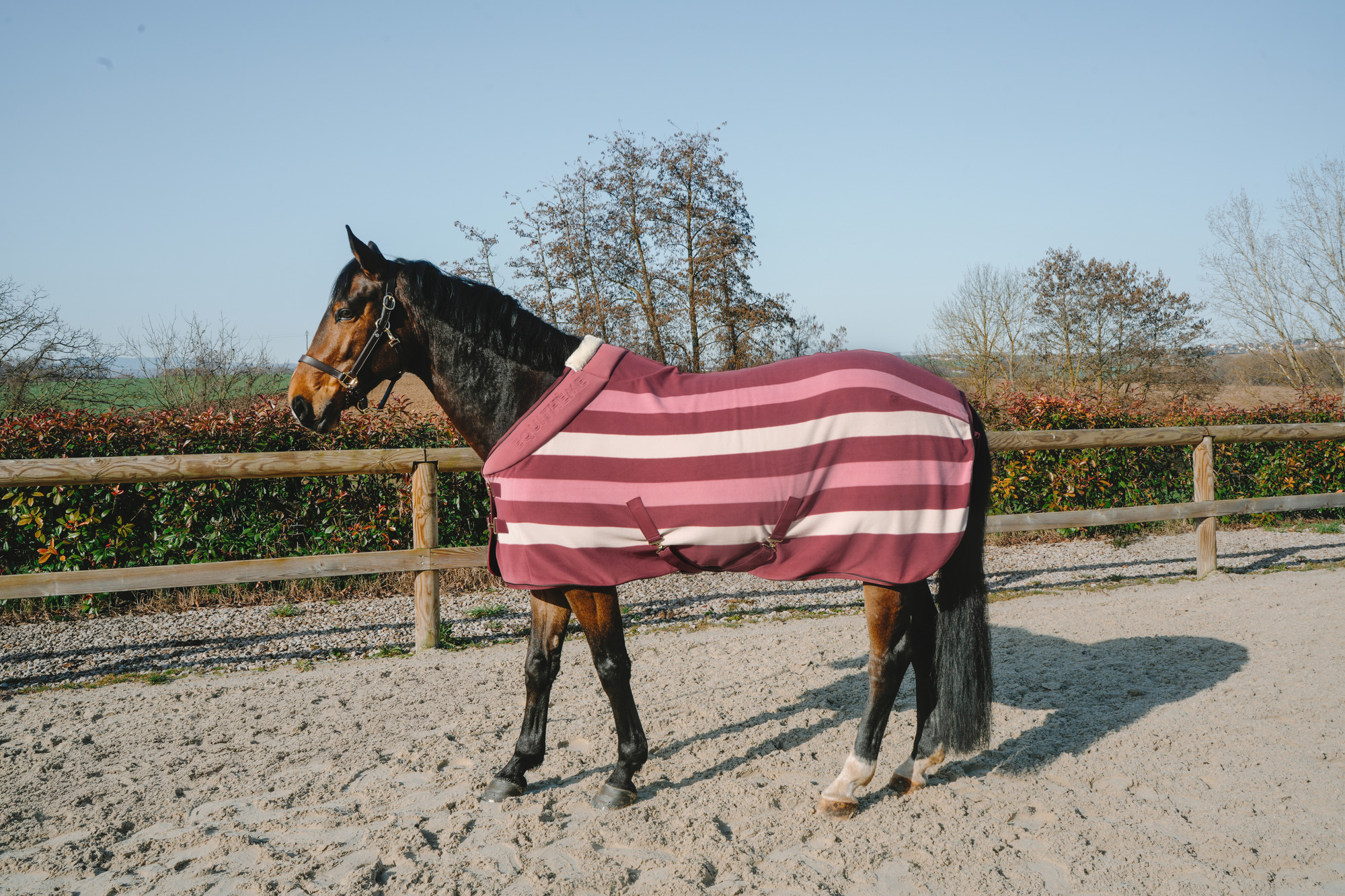Equithème Comfortech Fleecedeken